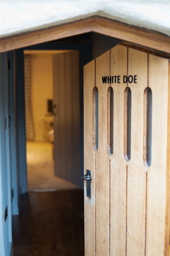 White Doe