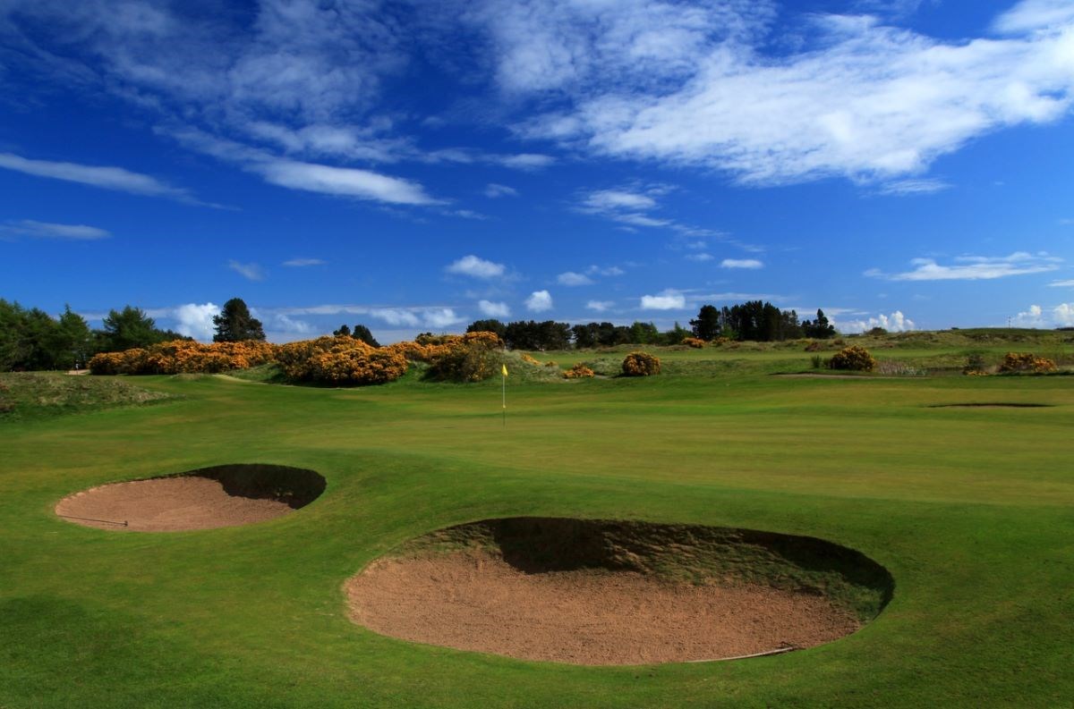 11th Green Medal