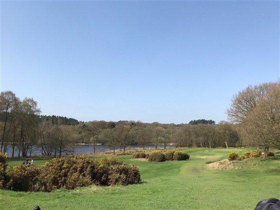 Petty Pool and the 11th green 