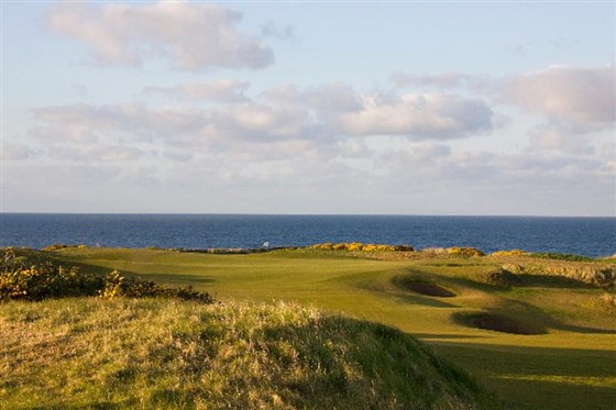 1st Green from left