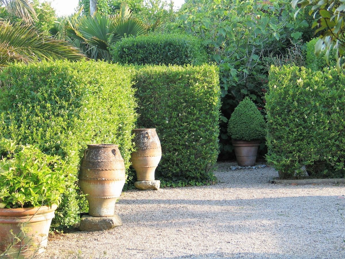 Early morning sunshine on the terrace