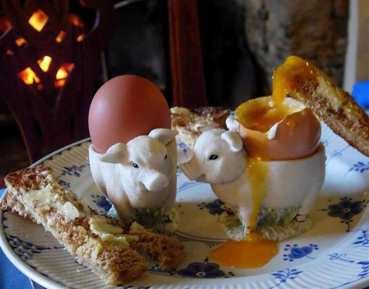 Free Range Farm Eggs for Breakfast