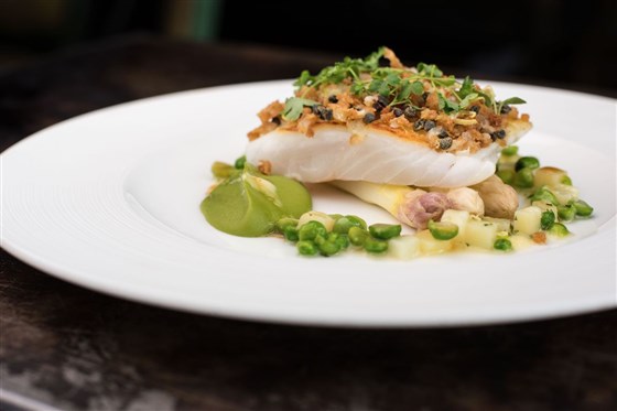 Fish Dish