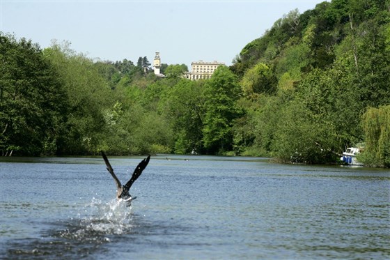River Thames