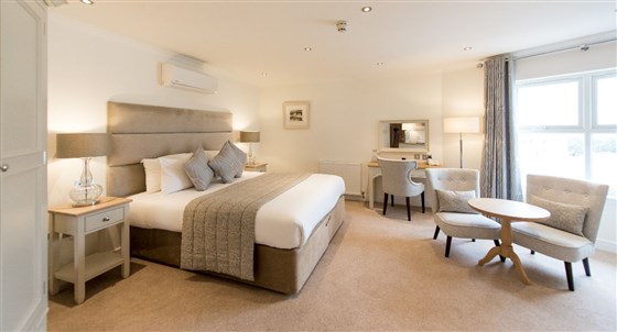 Deluxe Castle View Room