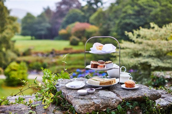 Afternoon Tea