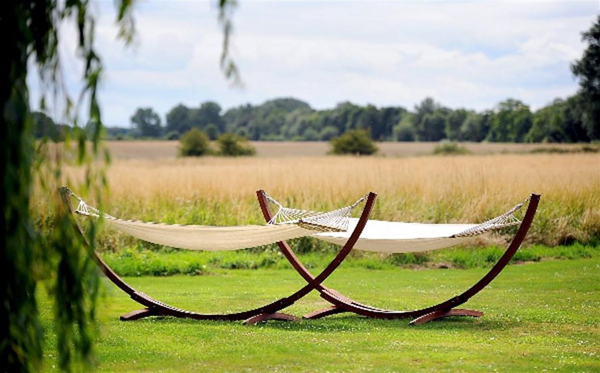 Lazy afternoons in the meadow