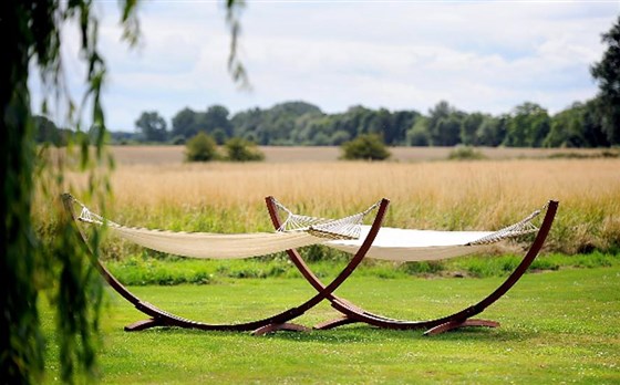 Lazy afternoons in the meadow