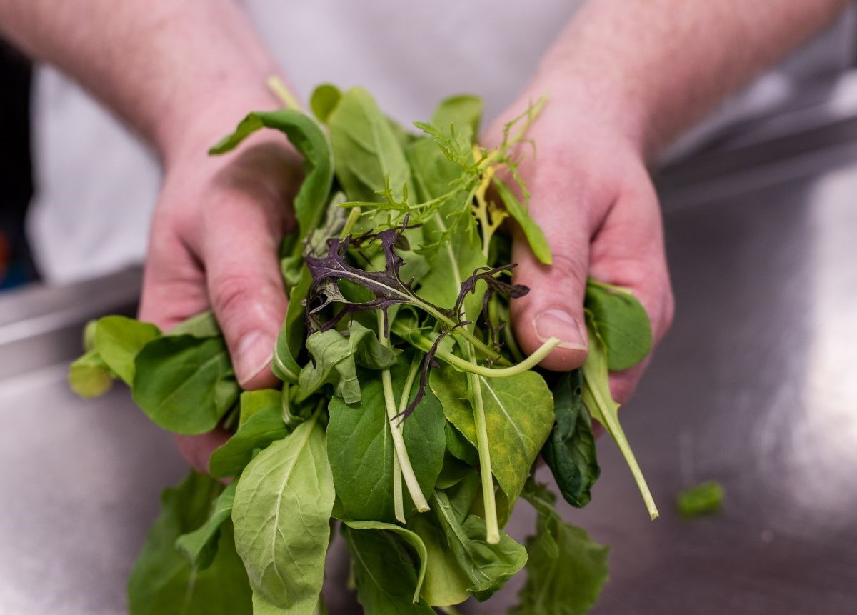 Picked fresh from the kitchen garden