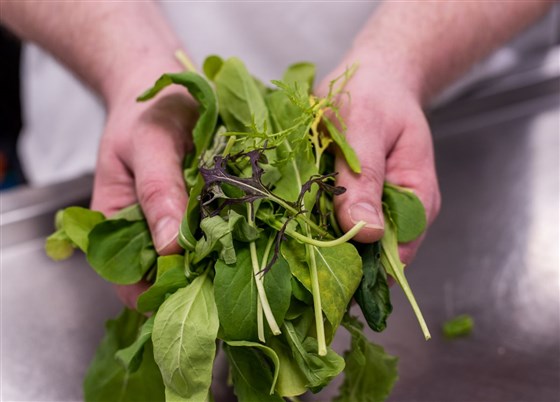 Picked fresh from the kitchen garden