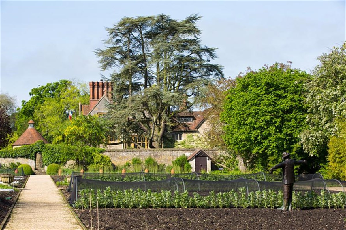 Vegetable Garden
