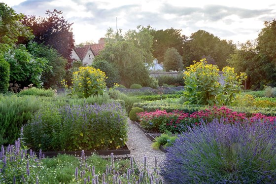 Herb-patch Garden