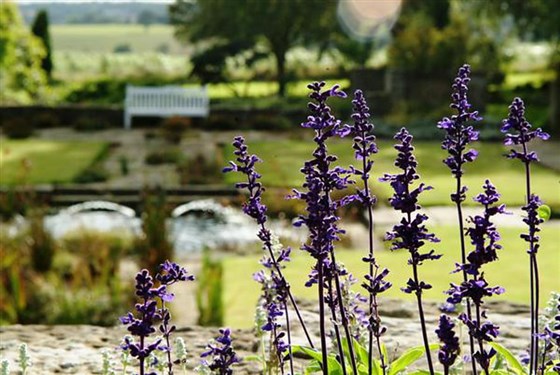 Grounds