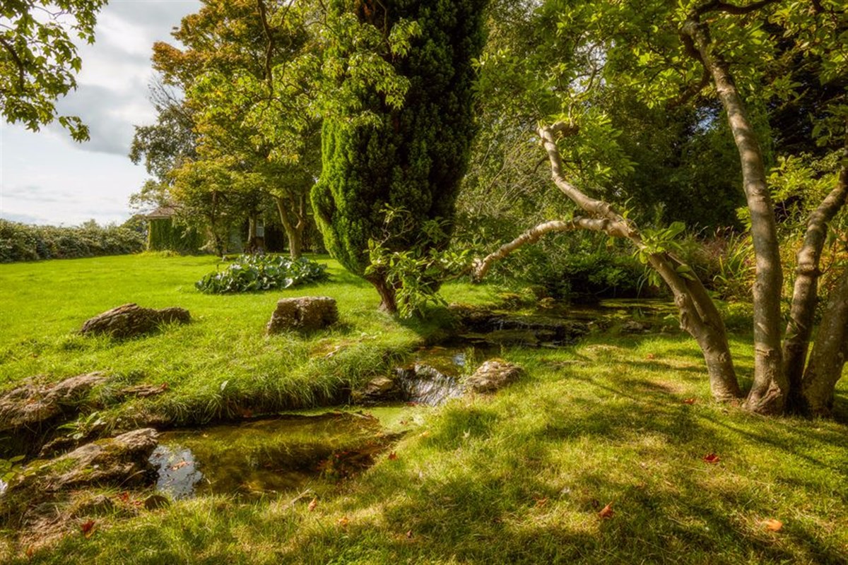 Grounds