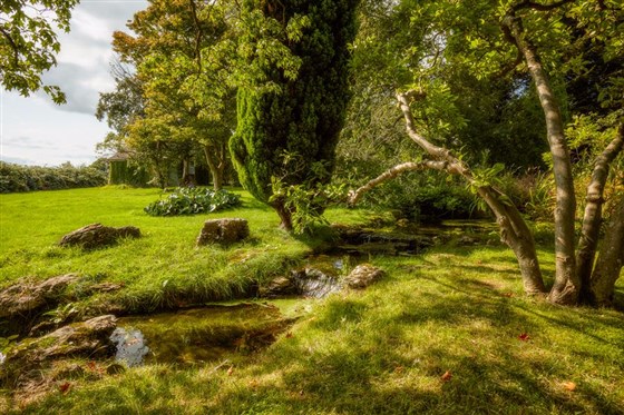 Grounds