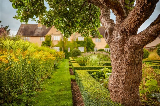 Grounds