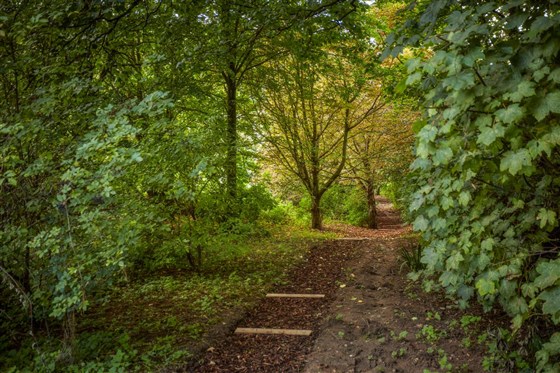 Mallory Court