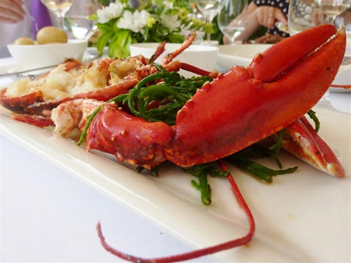 South coast lobster