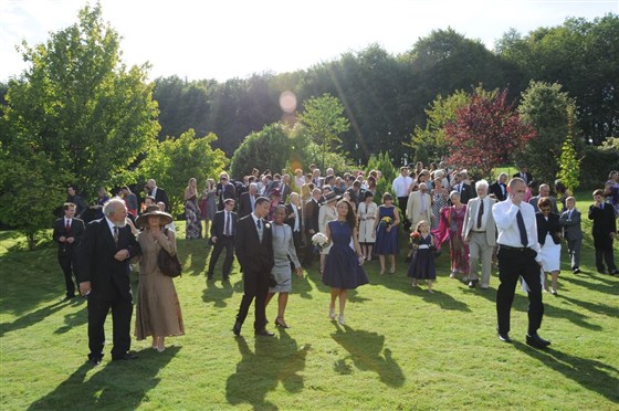 Wedding party on the lawn
