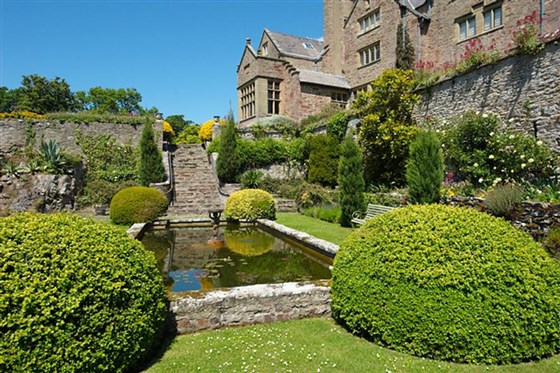 Garden pond 