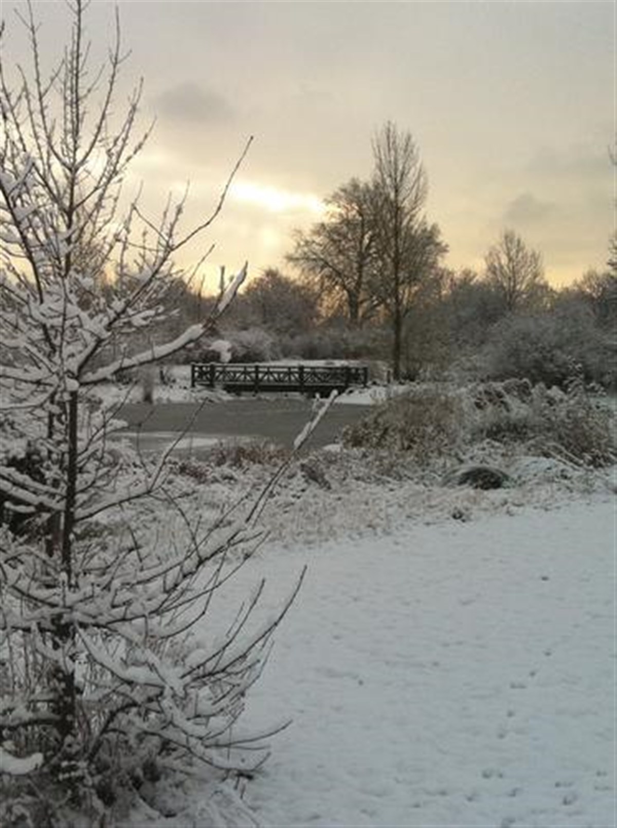 Snow scene
