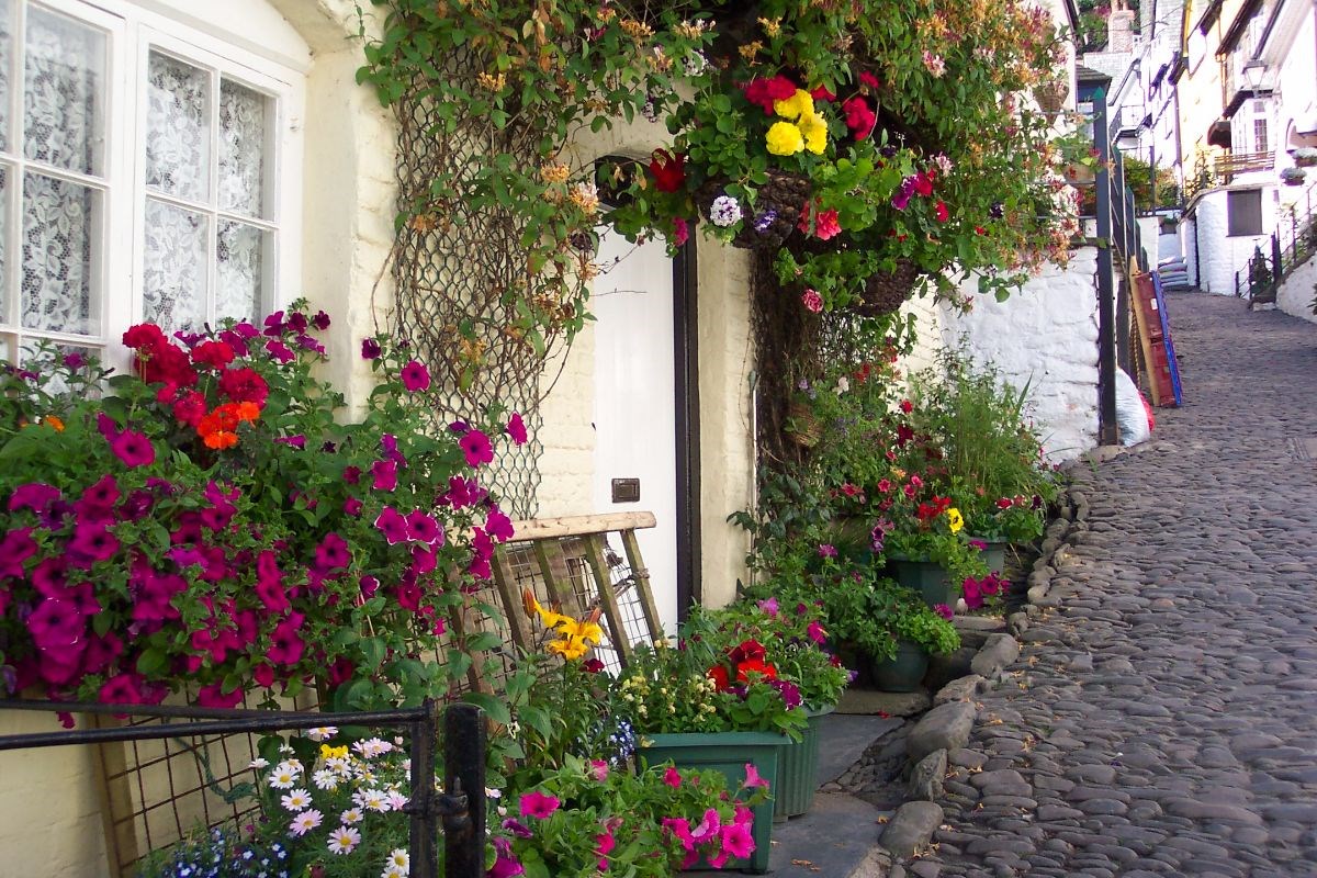 Beautiful floral displays