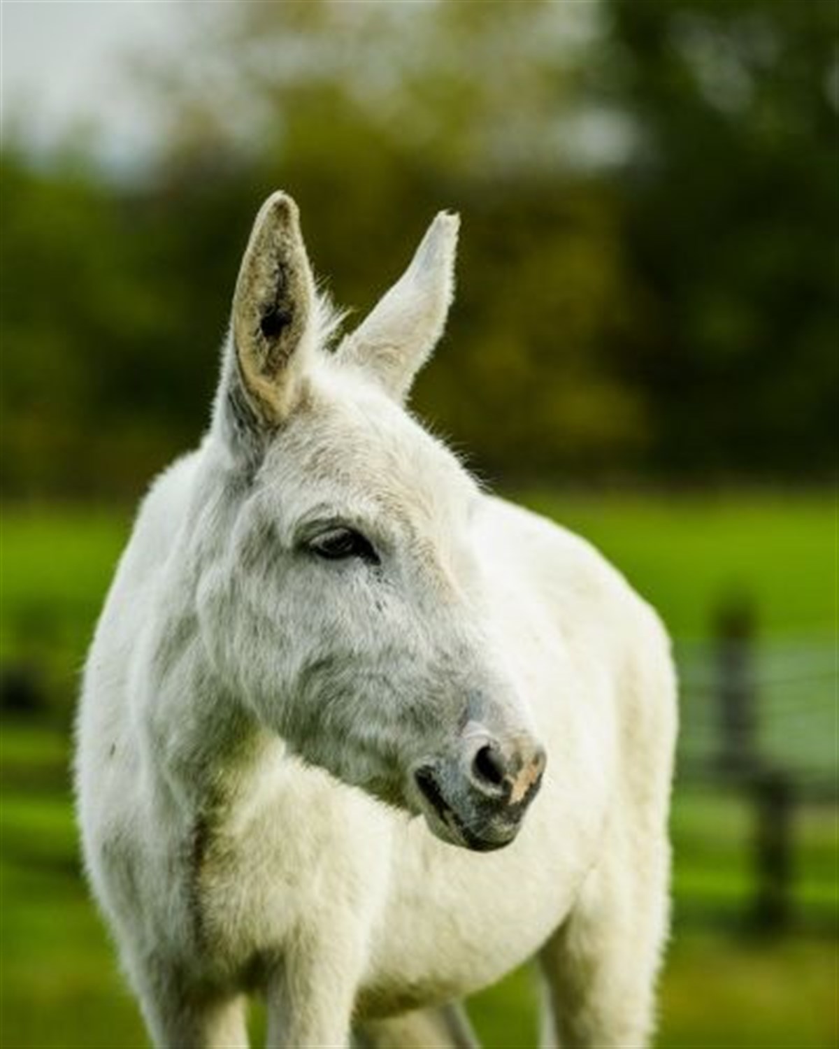 And this one is Hannah