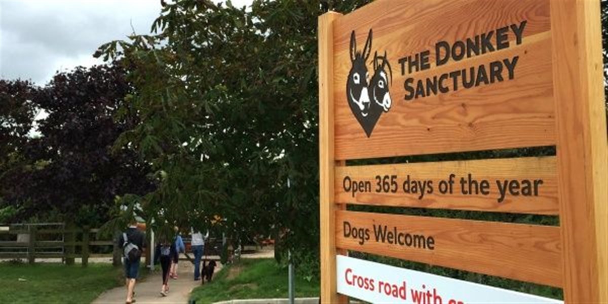 Donkey Sanctuary 