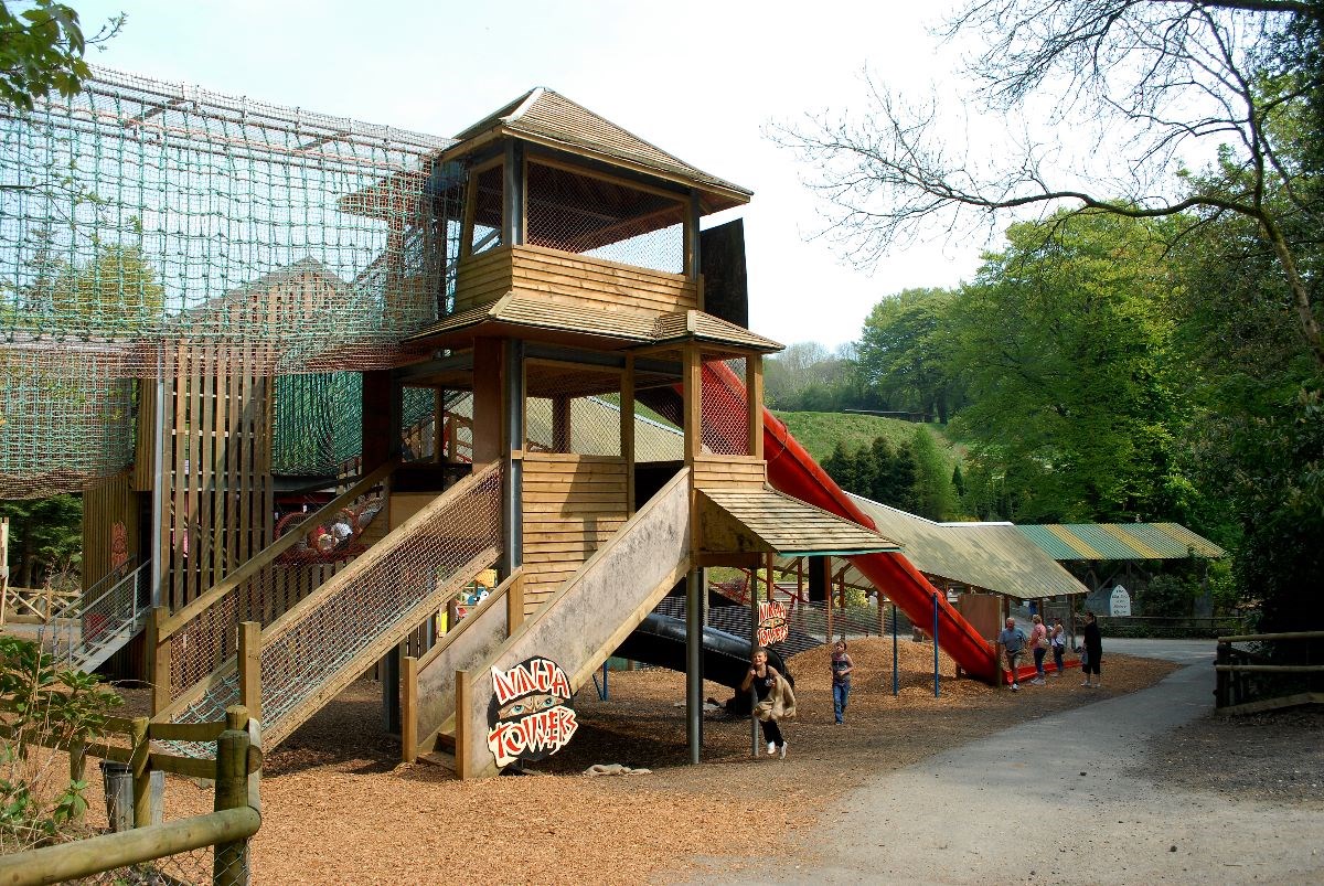 Ninja Towers