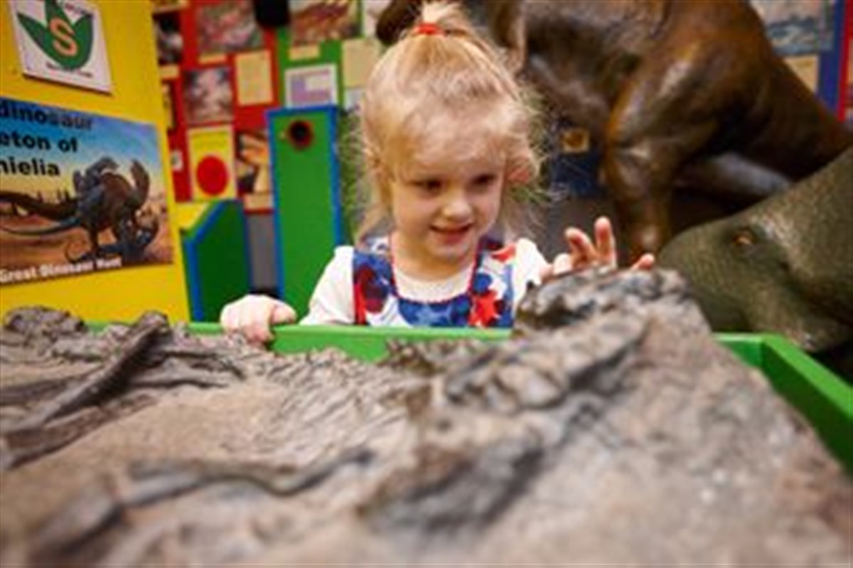 The Dinosaur Museum <span style='font-size:8px;'> World Heritage </span>