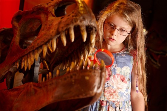 The Dinosaur Museum <span style='font-size:8px;'> World Heritage </span>