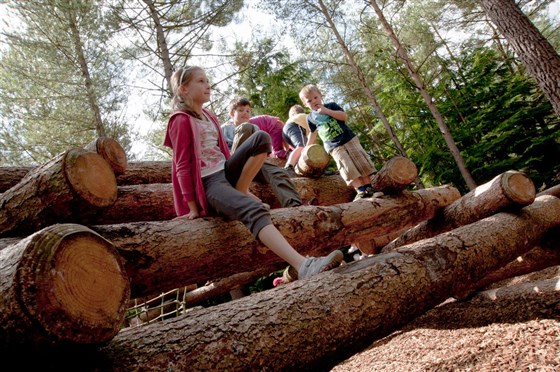 Children Playing  <span style='font-size:8px;'> Moors Valley Country Park and Forest </span>