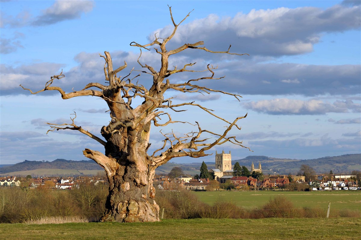 Tewkesbury Abbey from afar.