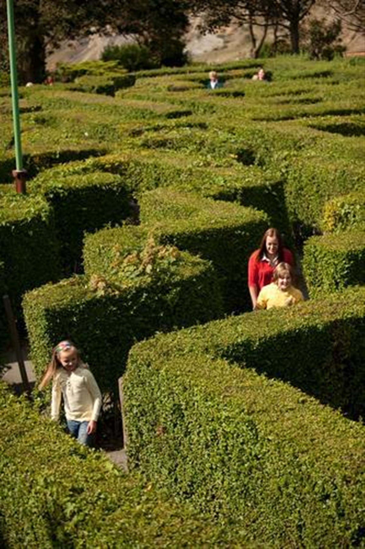 Maze
