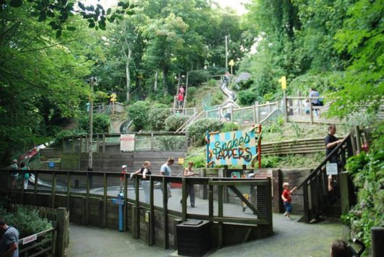 Giant Snakes and Ladders