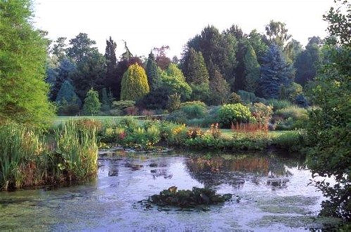 Bressingham Steam & Gardens
