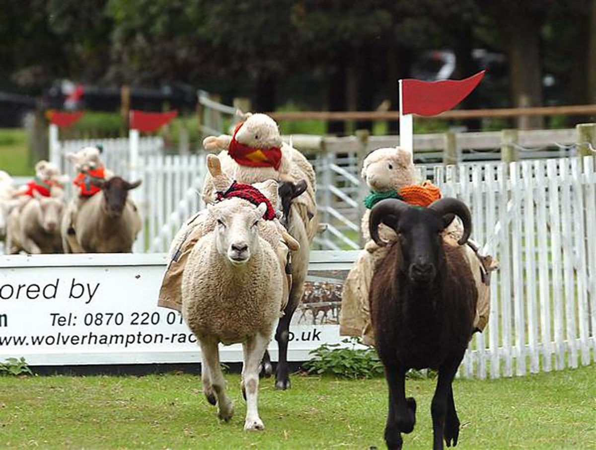 Hoo Farm - Telford | Visitor Attraction | Britain's Finest