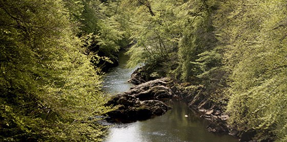 The beautiful Landscape of Killiecrankie <span style='font-size:8px;'> ® The National Trust for Scotland </span>