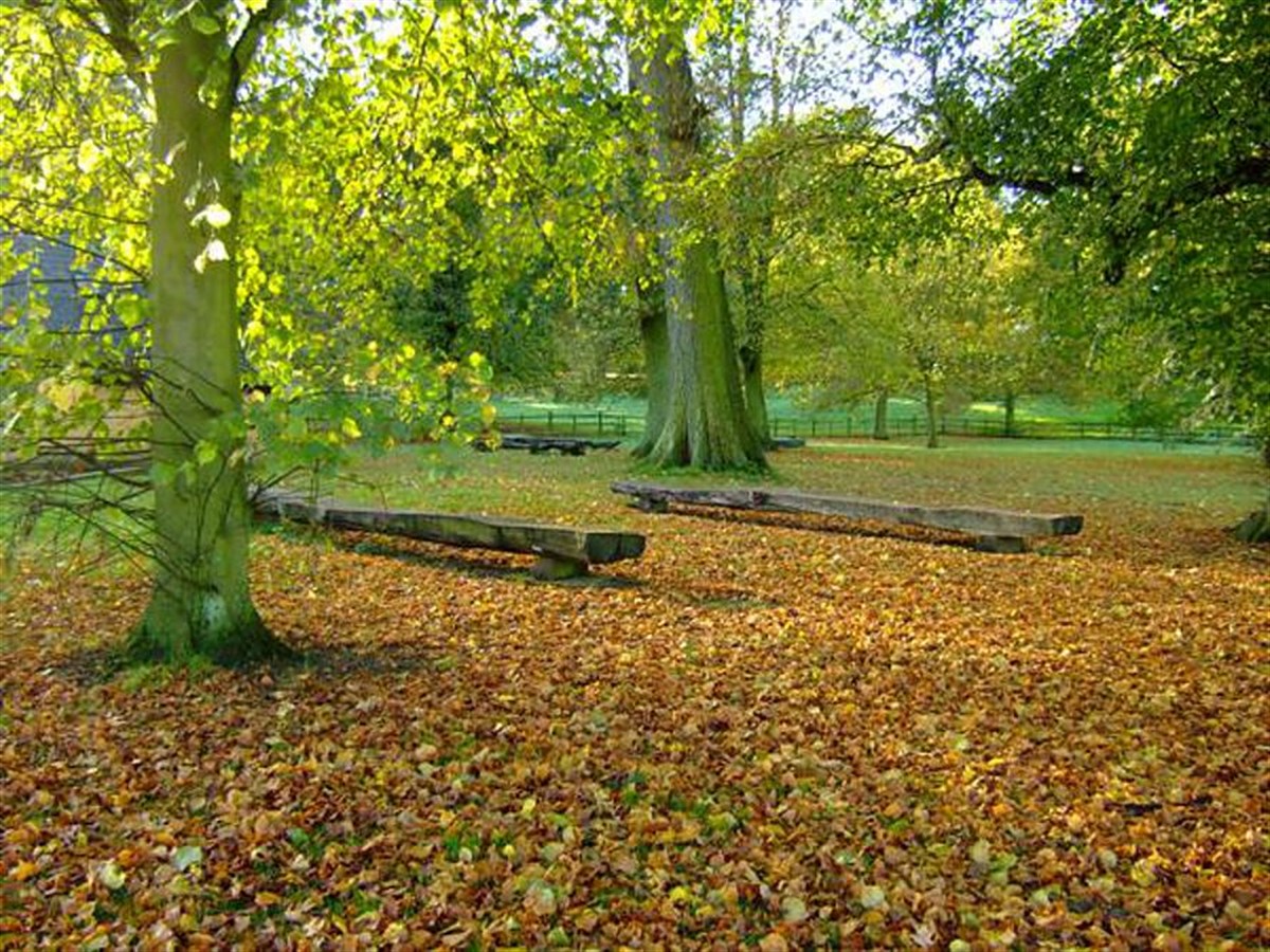 Picnic Area