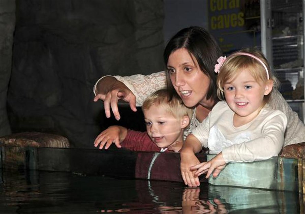 Blue Planet Aquarium