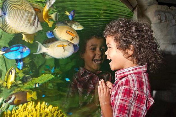 Blue Planet Aquarium