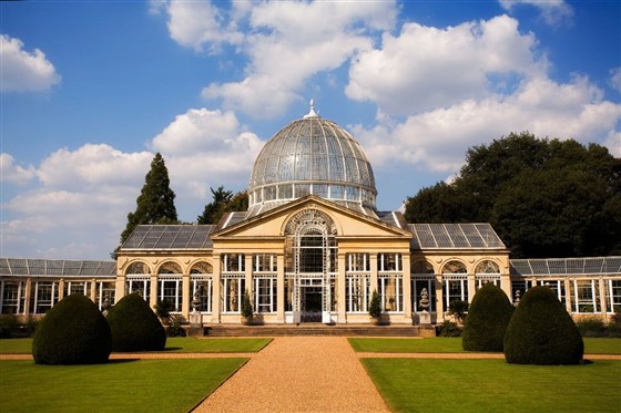 Syon Park Gardens