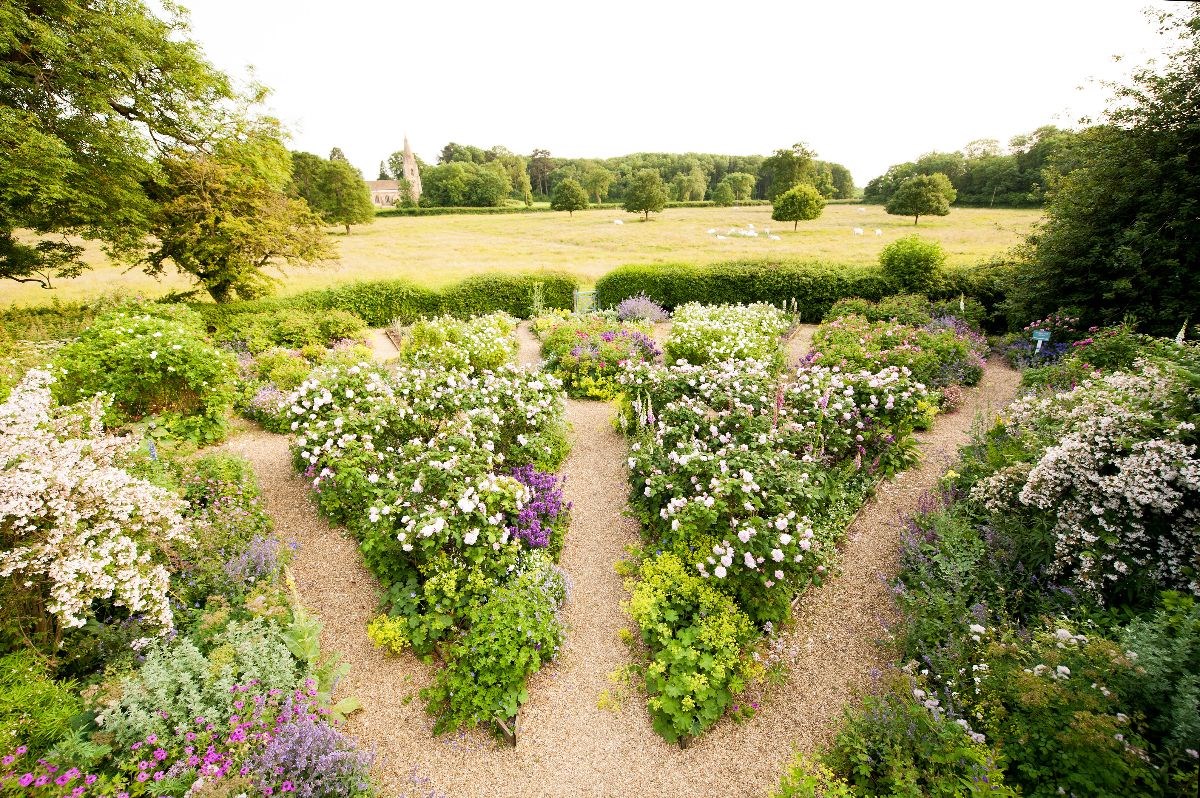 Fan Rose Garden 