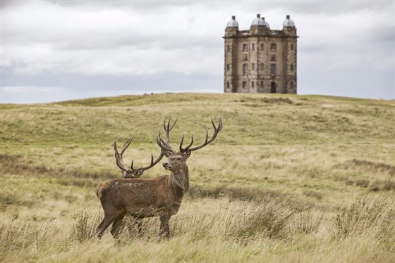 Lyme Park, House & Garden<span style='font-size:8px;'>®National Trust Images/Arnhel de Serra</span>
