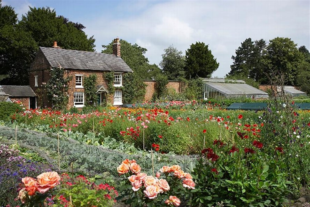 Kitchen Garden in full bloom.