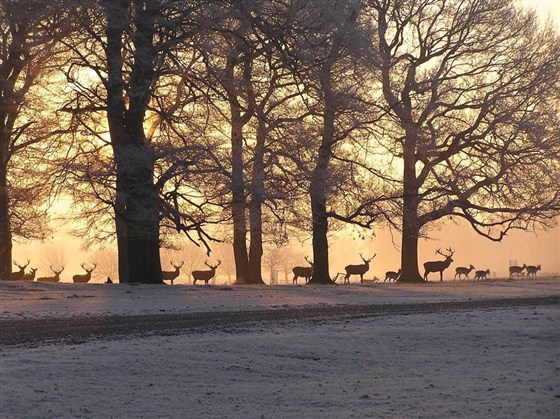 Tatton Park  <span style='font-size:8px;'>®National Trust Images</span>