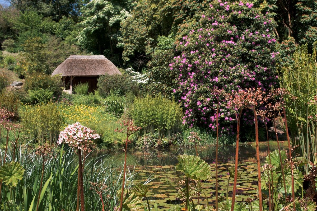 The Valley Garden
