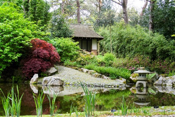 The Japanese Garden