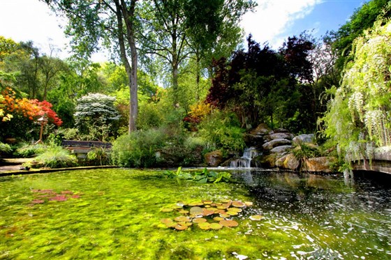Bridge Garden