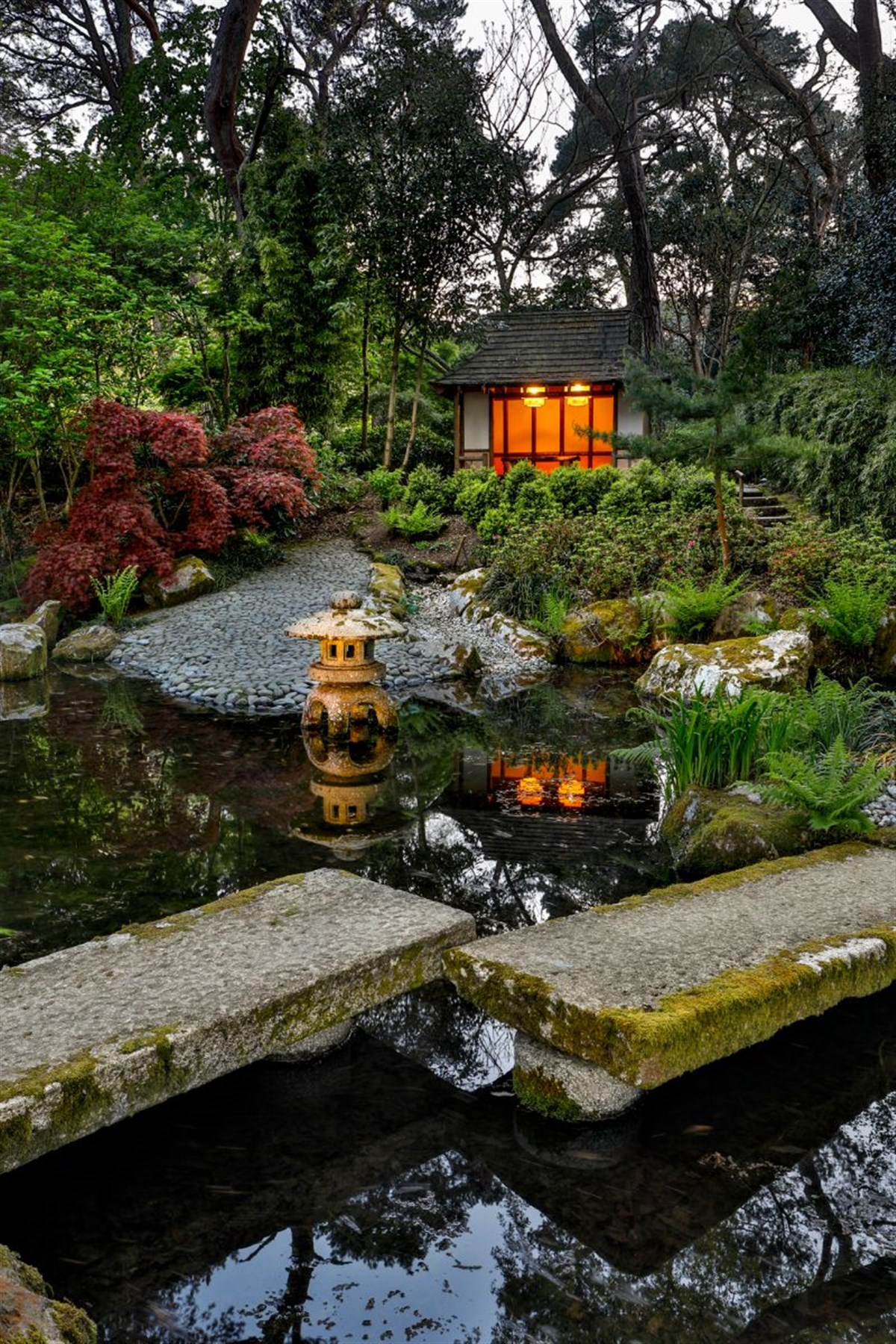 Japanese Garden Evening